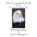 The Comeback Kids, Book 4, The American Bald Eagle