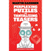 Perplexing Puzzles and Tantalizing Teasers