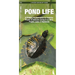 Pond Life: An Introduction to Familiar Plants and Animals Living in or Near Ponds, Lakes and Wetlands