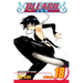 Bleach, Vol. 18
