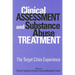 Clinical Assessment and Substance Abuse Treatment: The Target Cities Experience