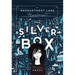 The Silver Box: An Enchantment Lake Mystery