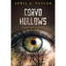 Corvo Hollows: A Psychological Thriller
