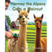 Hermey the Alpaca Gets a Haircut