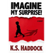 Imagine My Surprise!