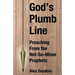 God's Plumb Line: Preaching From the Not-So-Minor Prophets