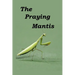 The Praying Mantis: All about being a Praying Mantis.
