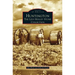 Huntington: The Levi Holley Stone Collection