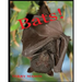 Bats: Learn About These Strange and Wonderful Creatures of the Night