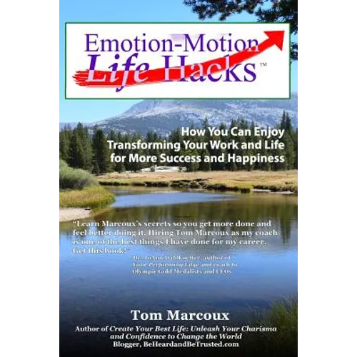 Emotion-Motion Life Hacks: How You Can Enjoy Transforming Your Work and Life for More Success and Happiness