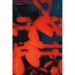 Signal Flow