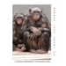Bonobo Lucy Grows Up