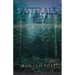 Asteral's Key: An Inner Realm Adventure