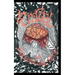 Finzel; a Psychotic Love Story