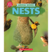 Nests (Learn About: Animal Homes)