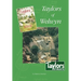 Taylors of Welwyn