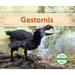 Gastornis