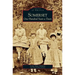 Somerset: One Hundred Years a Town