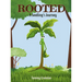Rooted: A Seedling's Journey