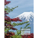 Kanji Practice Workbook: For Japanese Character Writing