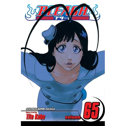 Bleach, Vol. 65: Marching Out the Zombies