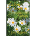 Labour of Love