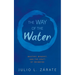 The Way of the Water: Mastery, Mindset, and the Craft of Swimming
