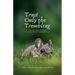 Trust Only the Trembling: & Other Poems Exploring Manhood