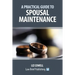 A Practical Guide to Spousal Maintenance