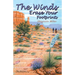 The Winds Erase Your Footprints