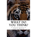What Do You Think?: A collection of poems by Catherine Balavage