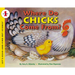 Where Do Chicks Come From?