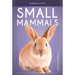 Small Mammals