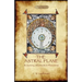 The Astral Plane- its scenery, inhabitants & phenomena