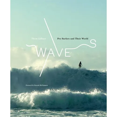Waves: Pro Surfers and Their World