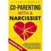 Co-Parenting with a Narcissist: Guiding You Through the Maze of Raising Kids with a Manipulative Ex: Strategies for Emotional Resilience, Legal Insigh