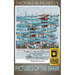 Pictures of the Shark: Stories