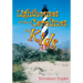 Lighthouses of the Carolinas for Kids