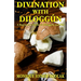 Divination with Diloggún: A Beginner's Guide to Diloggún and Obi