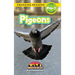Pigeons: Animals in the City (Engaging Readers, Level Pre-1)