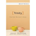Trinity: The God We Don't Know