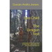 Sea Child THE DRAGON TRAIL: A decodable phonics chapter book for beginning readers and kids with a dyslexic learning style