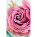 Romantic And Sex Poetry