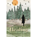 Healing (from Everything, All the Time): Poetry and Vignettes