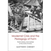 Modernist Crisis and the Pedagogy of Form: Woolf, Delany, and Coetzee at the Limits of Fiction
