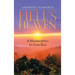Hell's Heaven: A Metamorphosis in Costa Rica