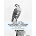 Hints on the Management of Hawks: Practical Falconry
