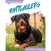 Rottweilers