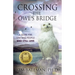 Crossing the Owl's Bridge: A Guide for Grieving People Who Still Love