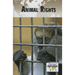 Animal Rights